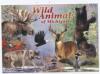 Michigan Wildlife
